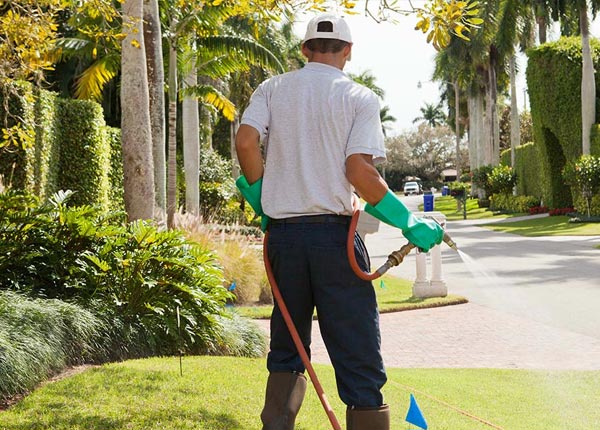 About Barney GA Pest Control Pros